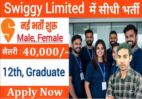 Swiggy Sales Manager